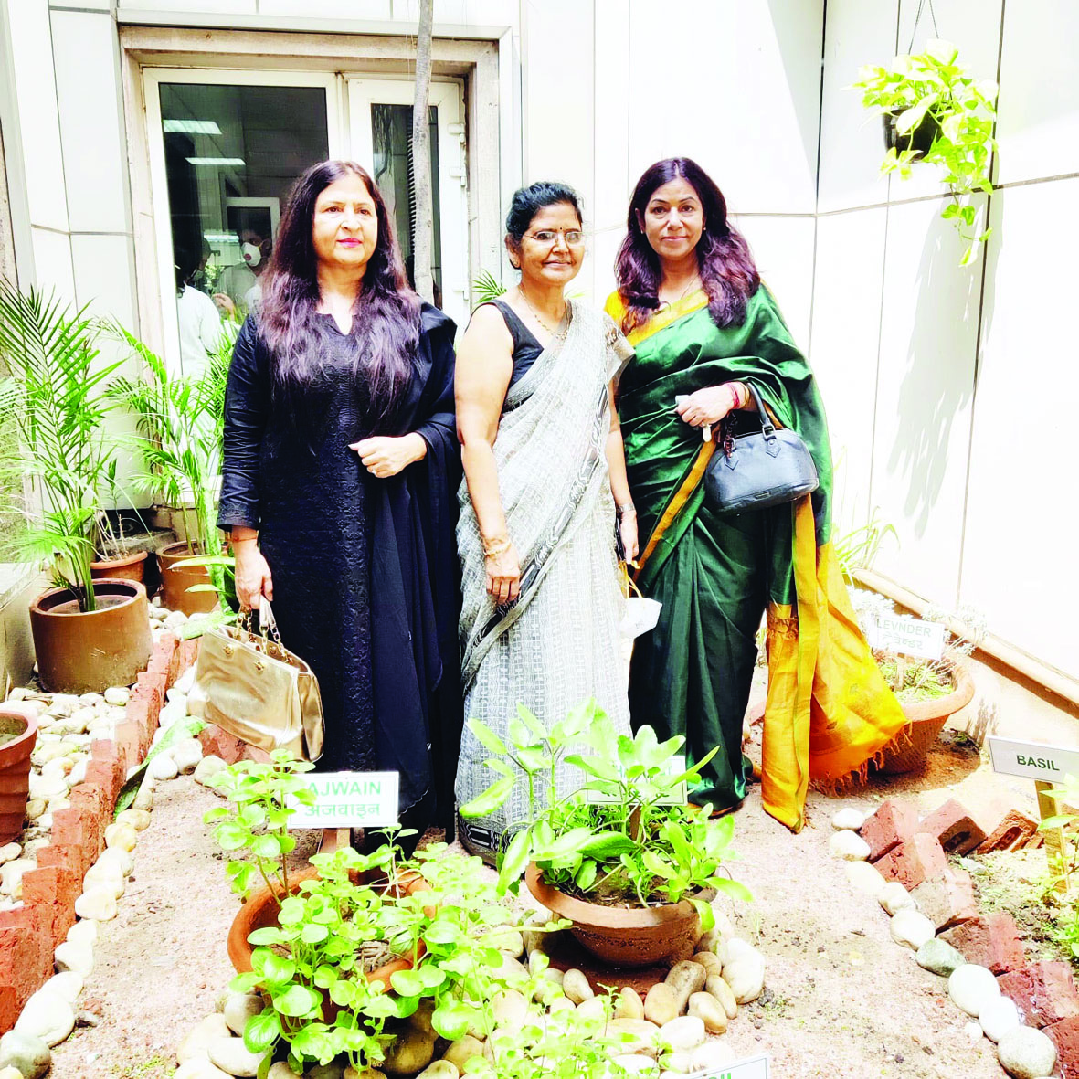 Noida news : जिला अस्पताल में तैयार किया गया हर्बल गार्डन