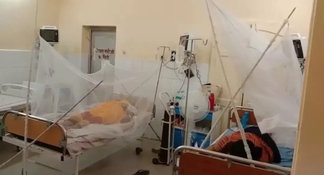प्रयागराज में बढ़ रहा डेंगू का कहर, अभी तक हुई 47 मरीजों की पुष्टि