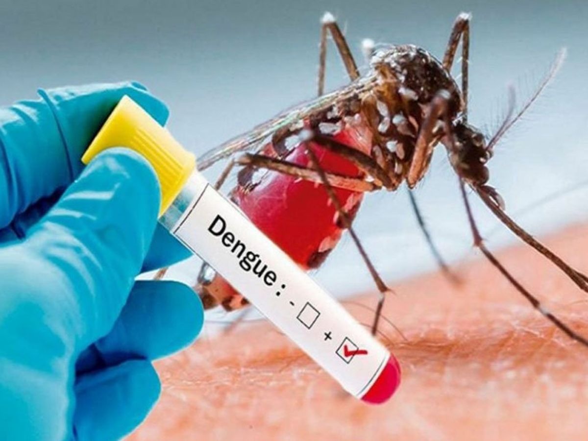 डेंगू और वायरल बुख़ार हैं एक दूसरे से काफी अलग