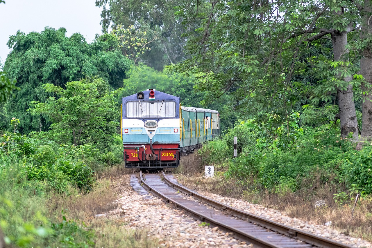 IRCTC:10,000 रुपये से कम में 10 दिन का टूर पैकेज, राम जन्मभूमि से पूरी-गंगासागर तक करें यात्रा