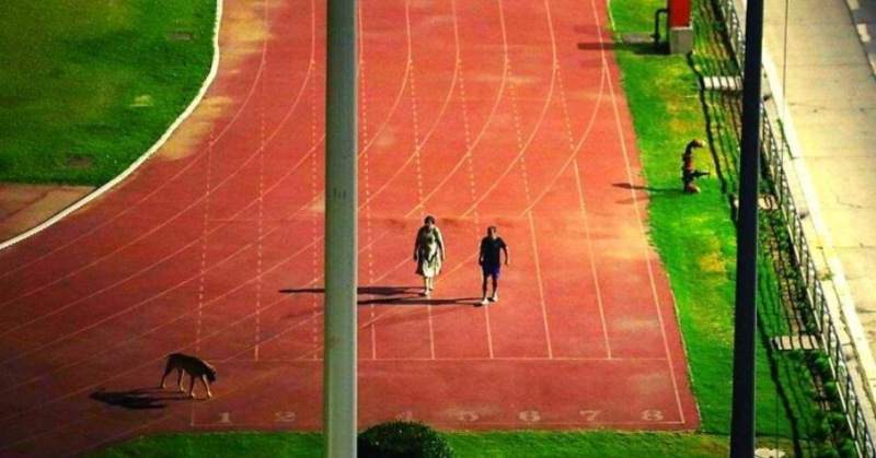 Thyagraj Stadium- शर्मनाक, IAS कुत्ते के साथ टहल सके, इसलिए बाहर निकाल दिए जाते थे एथलीट्स