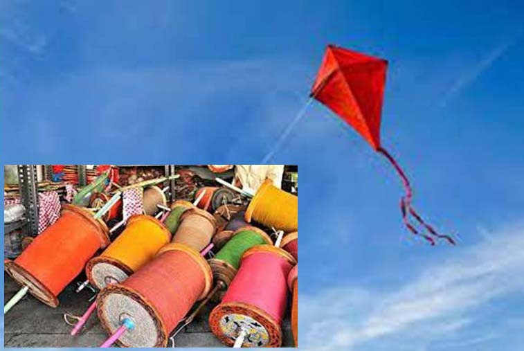 Kite Festival: परिंदों के साथ परवाज भरेंगे पतंग