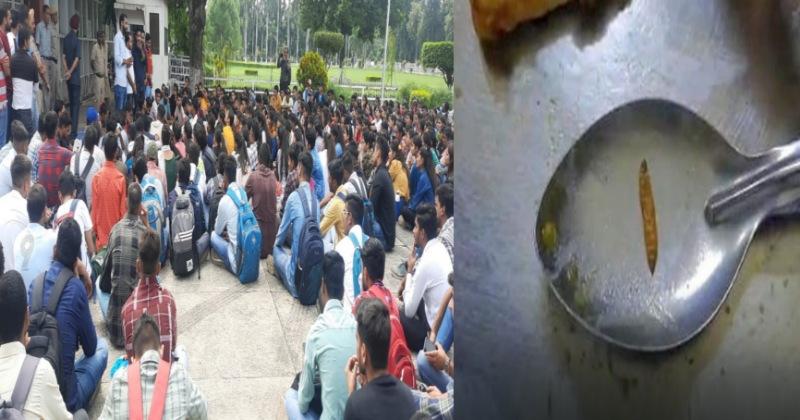 Kurukshetra University- हॉस्टल के खाने में कीड़ा मिलने से बौखलाए छात्रों का विरोध प्रदर्शन