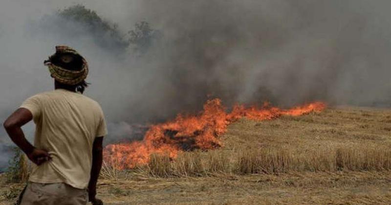 पराली की आग ने मिलाया पंजाब की हवाओं में जहर, एक दिन में 3634 पराली के मामले