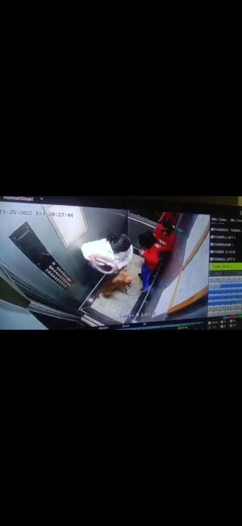 Dog pounces on children again in lift
