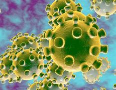 कोरोना वायरस: ओमिक्रोन से भी ज़्यादा खतरनाक ये वैरिएंट मचाएगा तबाही, वैज्ञानिकों ने इस बड़े खतरे का जताया अंदेशा