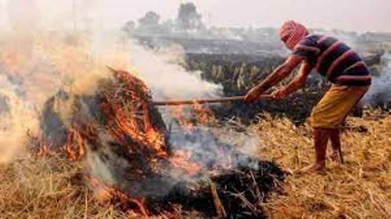 Punjab News : पंजाब में पिछले साल के मुकाबले पराली जलाने की घटनाओं में 30 फीसदी कमी : मंत्री