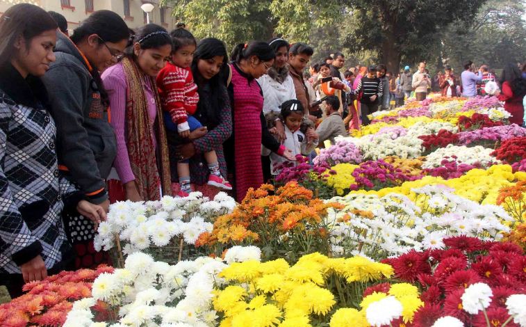 Noida News : नयनाभिराम छटा बिखेरेंगे रंग-बिरंगे फूल !