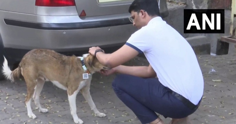 Barcode for animals- मुंबई के 23 वर्षीय इंजीनियर ने आवारा पशुओं के लिए बनाया क्यूआर कोड