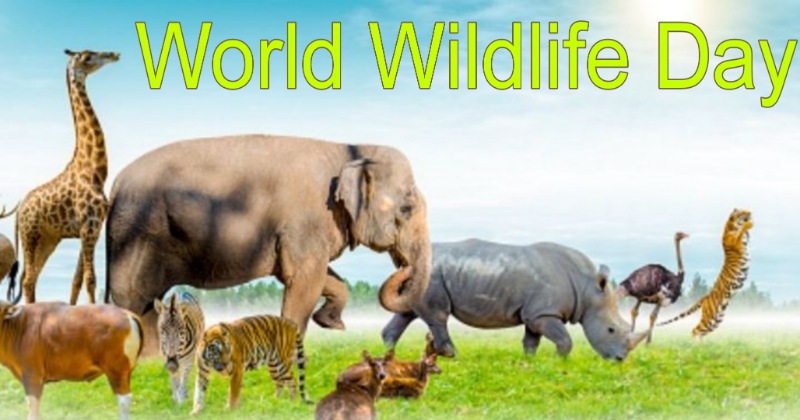 World Wildlife Day – इस थीम के साथ मनाया जा रहा ‘विश्व वन्यजीव दिवस 2023