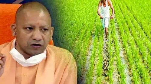 Up News: Before Holi, Yogi gave a big gift to the farmers of UP