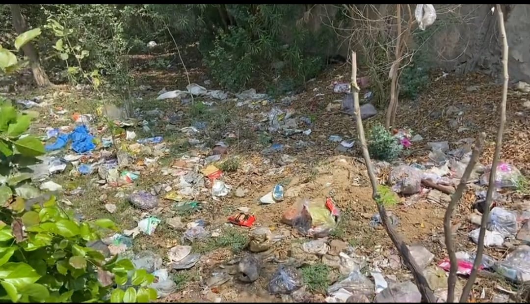 Greater Noida News : बीटा 2 के पार्क में लगा कचरे का अंबार, साफ-सफाई को लेकर लापरवाह बना प्राधिकरण