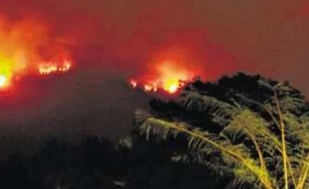 Goa : गोवा के जंगल आग, आठ किलोमीटर दूर तक दिखीं लपटें