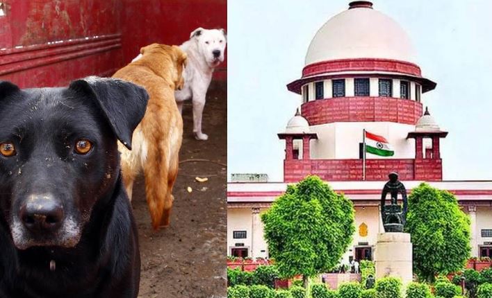 Supreme Court News : सुप्रीम कोर्ट से मांगी खतरनाक कुत्तों को मारने की इजाजत