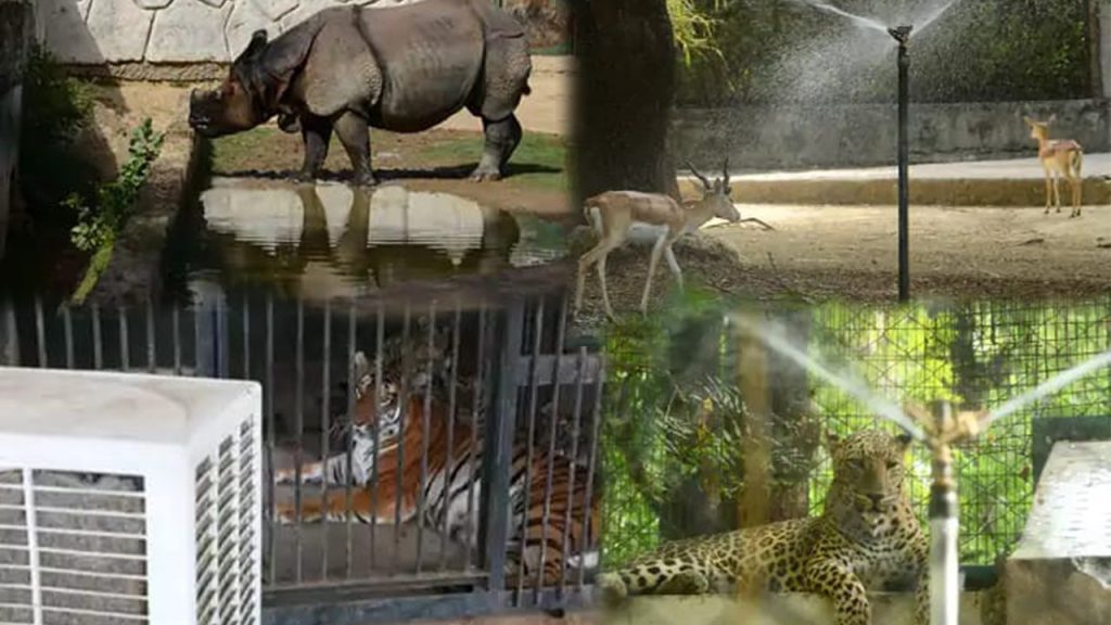 Kanpur Zoo: