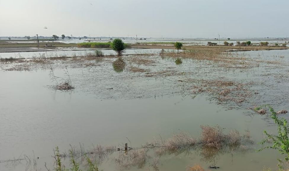 Jewar Airport: जेवर एयरपोर्ट के पास फिर मंडरा रहा है बाढ़ का खतरा, भयभीत हैं जेवर क्षेत्र के किसान