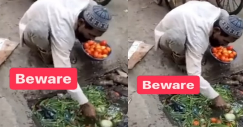 Viral Video of Tomato: गटर से टमाटर निकाल कर बेचने का वीडियो वायरल, आप भी देखें