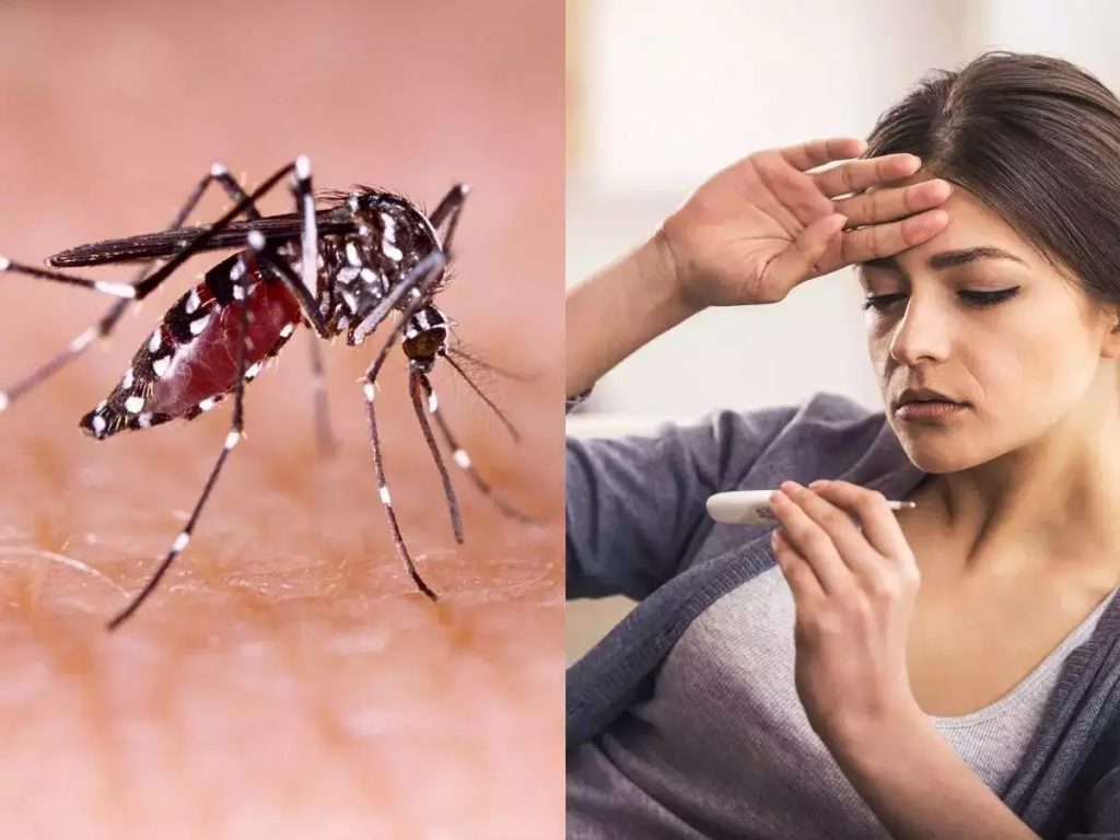 kanpur Dengue Fever