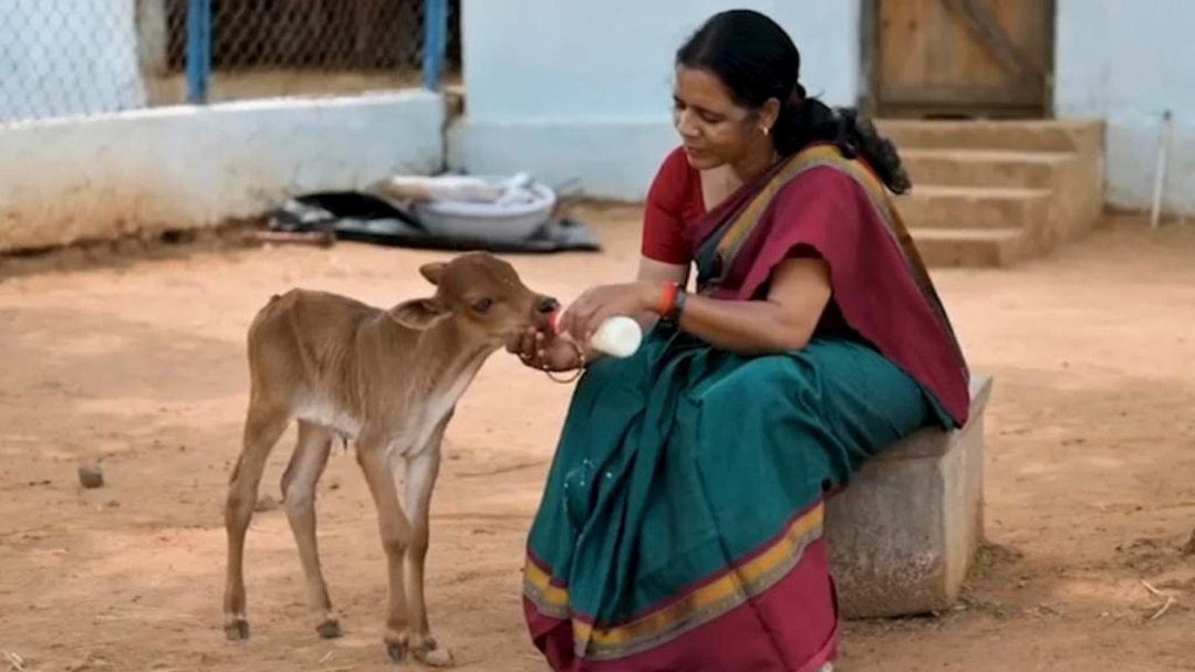 Organic farming 