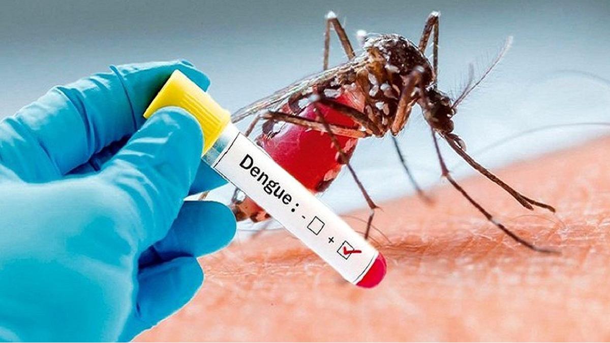 World Dengue Prevention Day: जानलेवा हो सकता है डेंगू, जानें लक्षण और बचाव के उपाय
