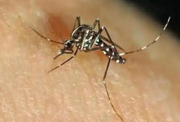 यूपी में डेंगू का कहर, 24 घंटे में 534 केस