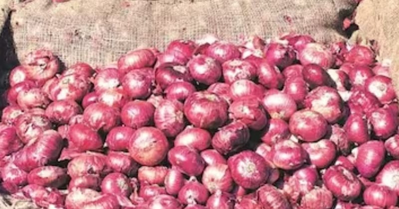Onion Price : महंगा हुआ प्याज, दिवाली से पहले और बढ़ेंगे दाम