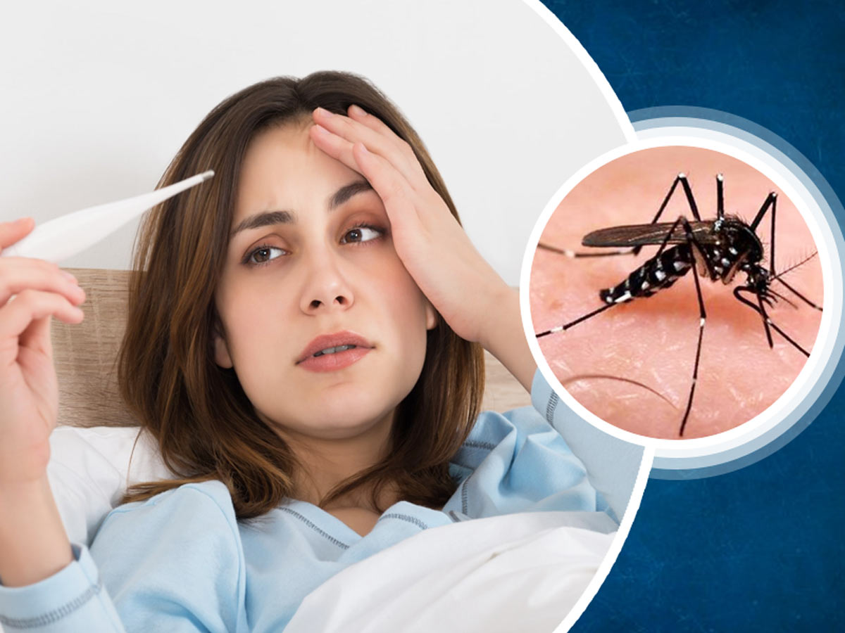 खुशखबरी डेंगू पर जीत: अब जान नहीं ले सकेगा डेंगू, मिला जानलेवा बीमारी का इलाज