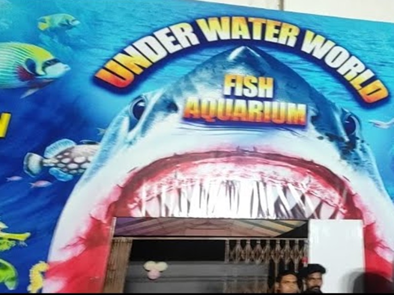 Underwater World Fish Aquarium opened for first time in Kolkata park circus know entry fees timing