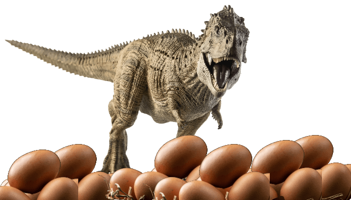 Many dinosaur eggs found in Dhar district of Madhya Pradesh, people called kuldevta know the truth
