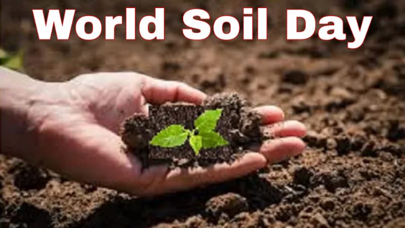 World Soil Day 2023: ‘जीवन का स्त्रोत-मिट्टी और पानी’ इस नए थीम के साथ मनाया जा रहा विश्व मृदा दिवस