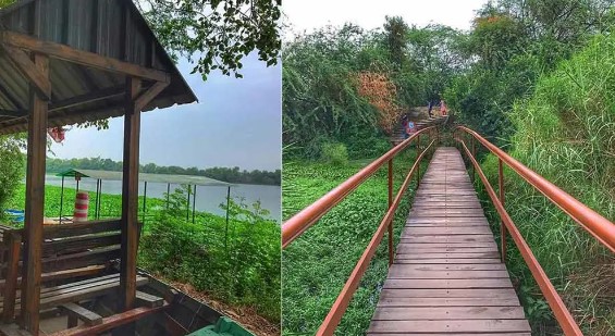 Okhla Bird Sanctuary