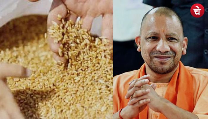 उत्तर प्रदेश के किसानों के लिए खुशखबरी, 150 रूपए कुंतल बढ़ा गेहूं का रेट