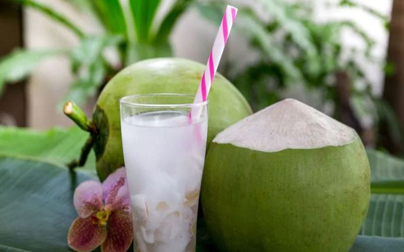 कई बीमारियों का बाप है नारियल पानी, जान लें इसके फायदे