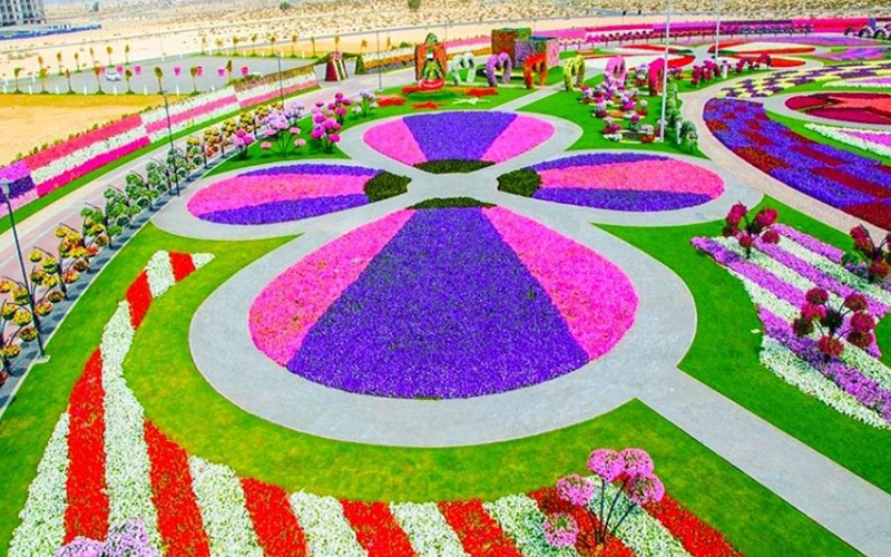 नोएडा में लाया जाएगा दुबई जैसा आकर्षण, बनेगा फूलों वाला पार्क