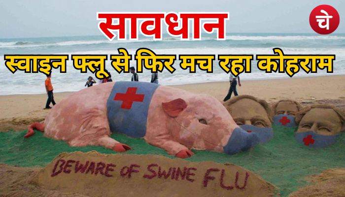 Swine Flu