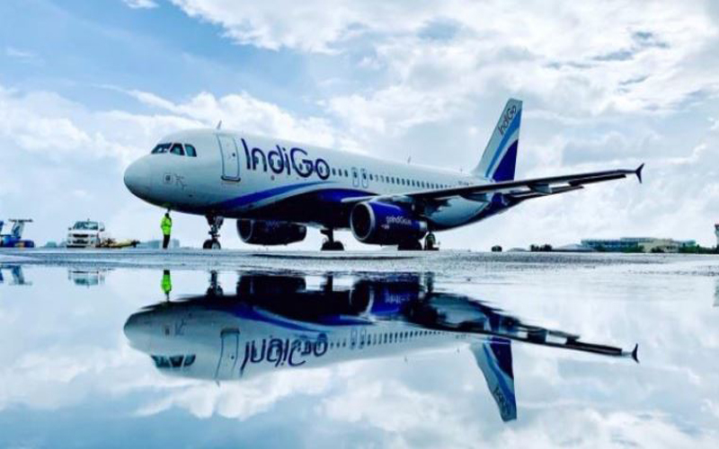 Indigo Flight
